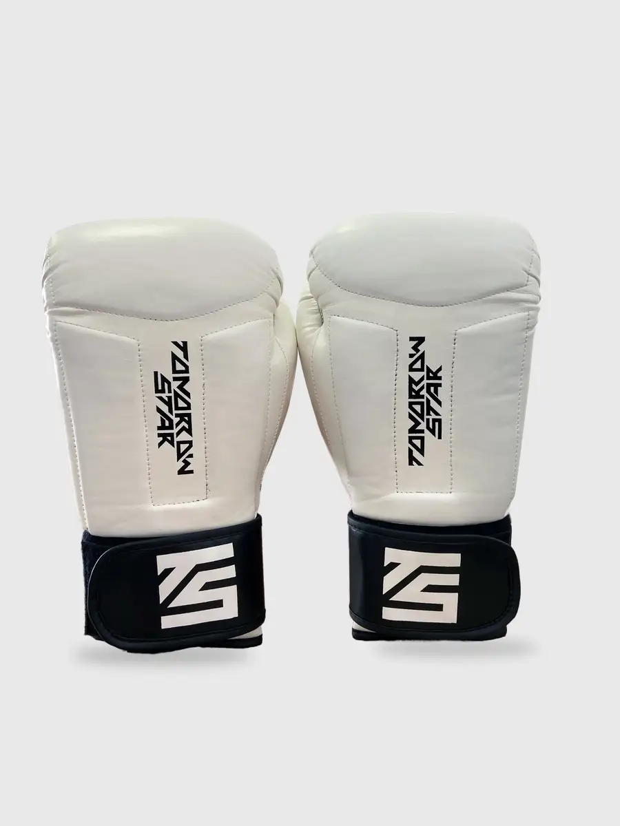 Перчатки боксерские WHITE- BLACK TS 20