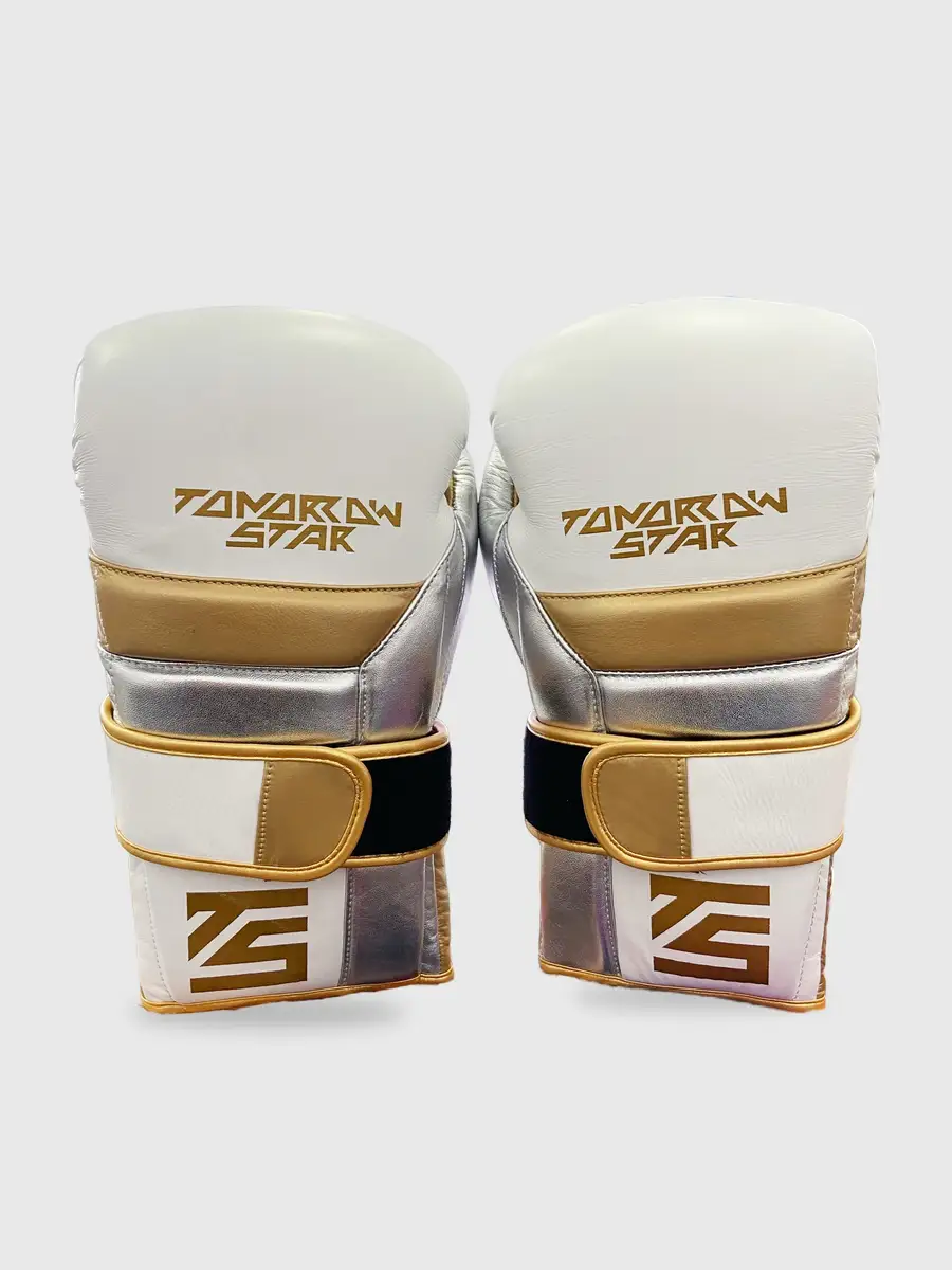 Перчатки боксерские WHITE TS 008