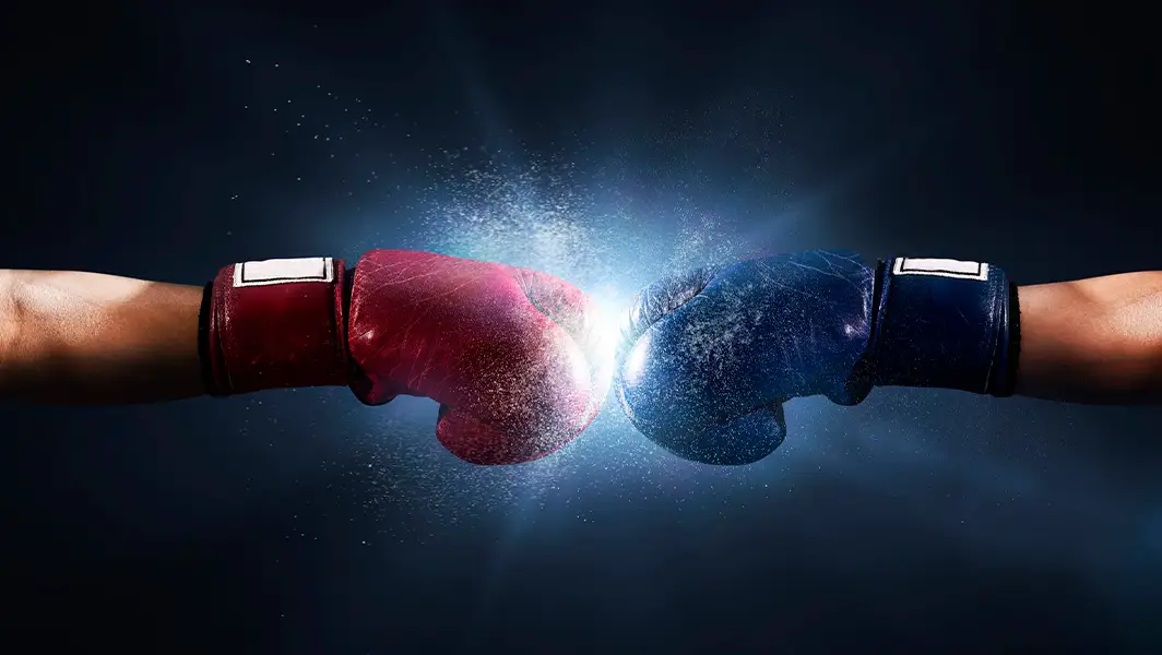 Виды боксерских перчаток Виды боксерских перчаток