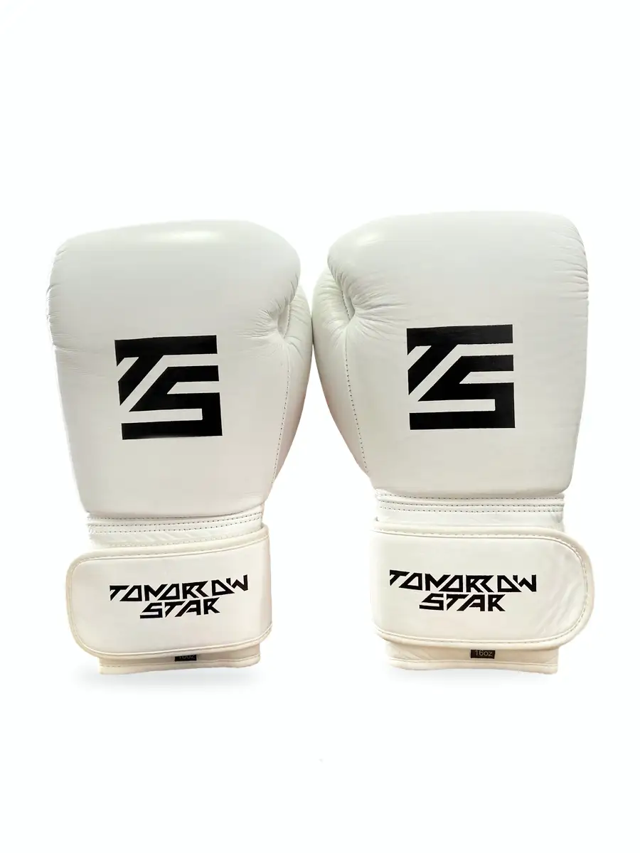 Перчатки боксерские WHITE- BLACK TS 19