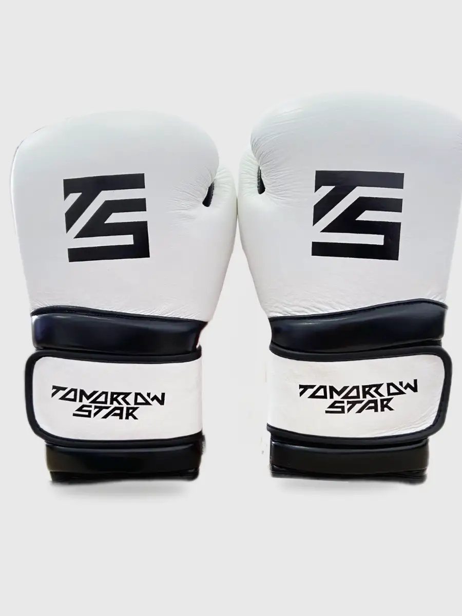 Перчатки боксерские WHITE- BLACK TS 18