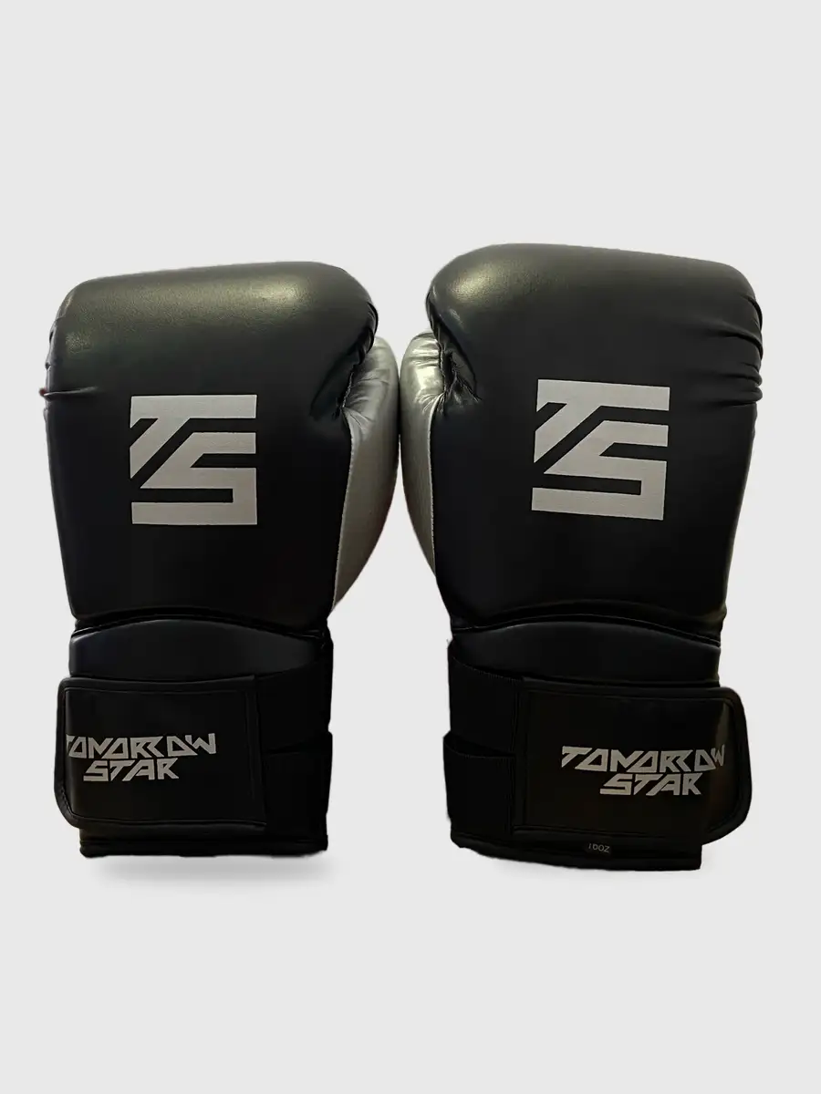 Перчатки боксерские  BLACK TS 13