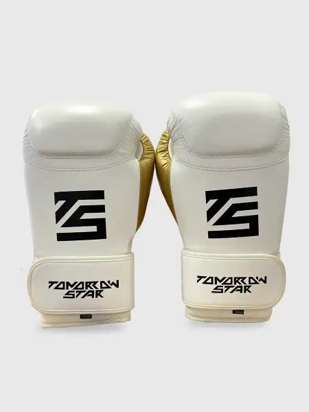 Перчатки боксерские  WHITE TS 11
