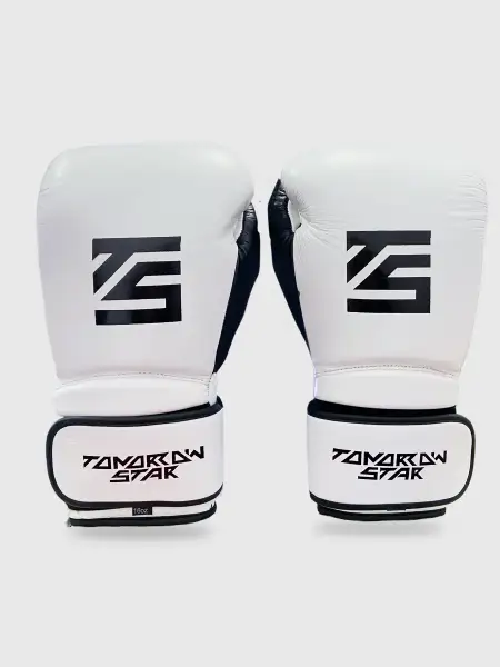 Перчатки боксерские WHITE TS 004