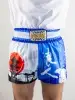 Шорты Муай-Тай Fluory Tokio (синие)