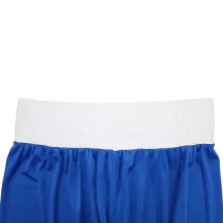 Форма боксерская BoyBo Titan, IB-27 (одобрено ФБР), синий