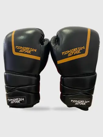 Перчатки боксерские на шнуровке   BLACK TS 28