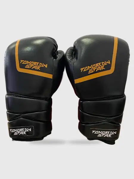 Перчатки боксерские на шнуровке   BLACK TS 28