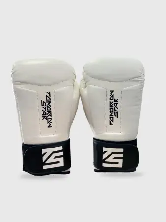 Перчатки боксерские WHITE- BLACK TS 20