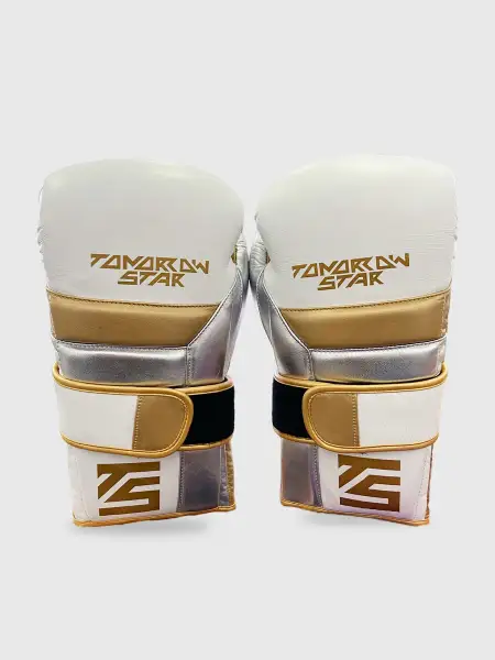 Перчатки боксерские WHITE TS 008