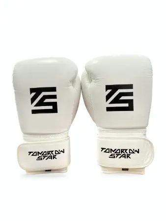 Перчатки боксерские WHITE- BLACK TS 19