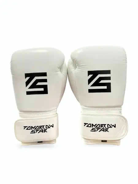 Перчатки боксерские WHITE- BLACK TS 19