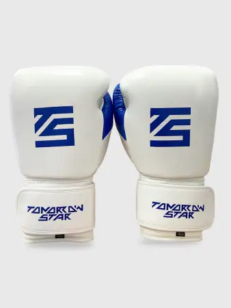 Перчатки боксерские  WHITE TS 10
