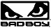 Bad Boy