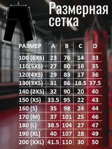 Брюки для кикбоксинга Tomorrow Star PRO синие