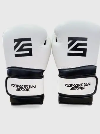 Перчатки боксерские WHITE- BLACK TS 18