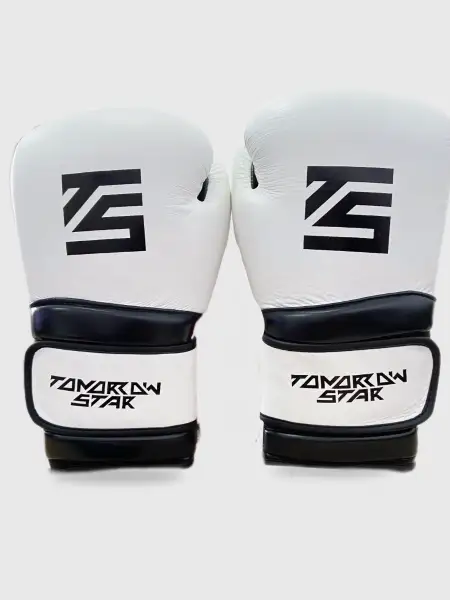 Перчатки боксерские WHITE- BLACK TS 18