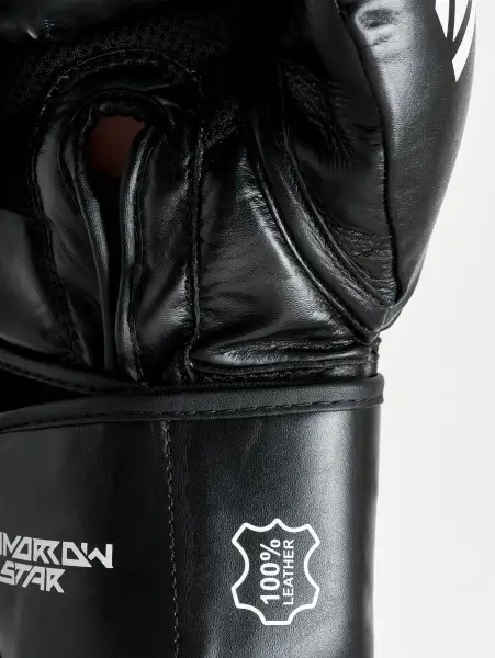 Перчатки боксерские Pay Attention on Tomorrow Star  (натуральная кожа)