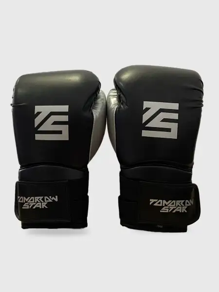 Перчатки боксерские  BLACK TS 13