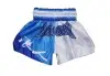 Шорты Муай-Тай Fluory Tokio (синие)