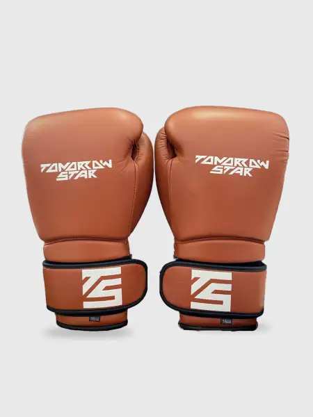 Перчатки боксерские BROWN TS 006