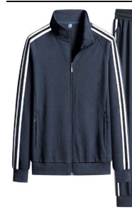 Олимпийка  Tigershop  серая