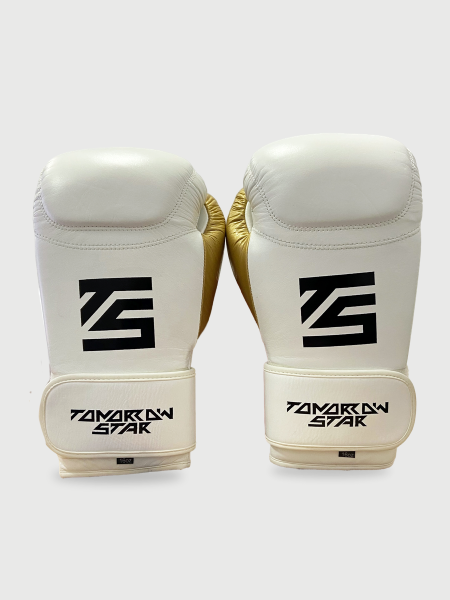 Перчатки боксерские  WHITE TS 11