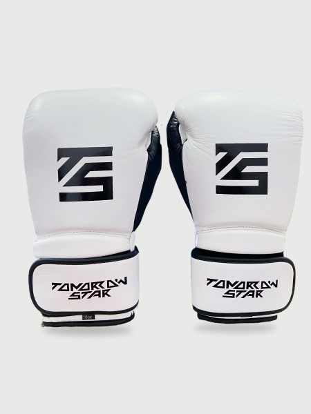 Перчатки боксерские WHITE TS 004