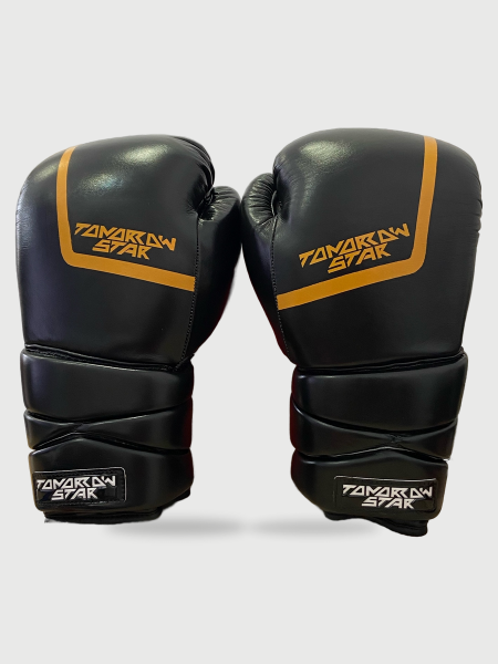 Перчатки боксерские на шнуровке   BLACK TS 28