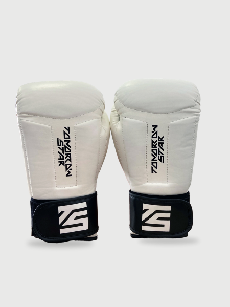 Перчатки боксерские WHITE- BLACK TS 20
