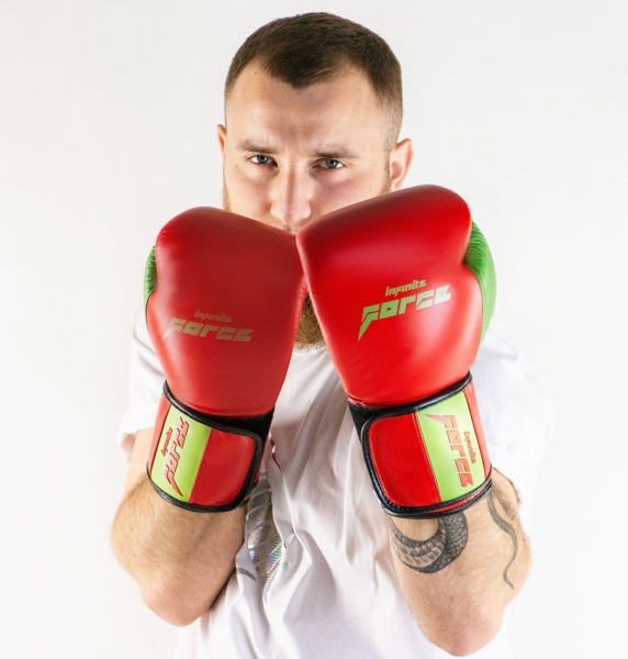 Боксерские перчатки Infinite Force Wild Hunter
