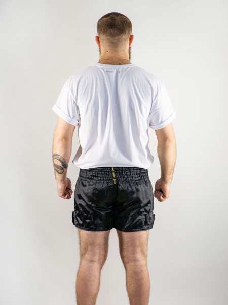 Шорты Муай-Тай Fluory Lion (черные)