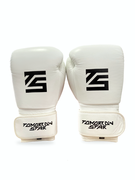 Перчатки боксерские WHITE- BLACK TS 19