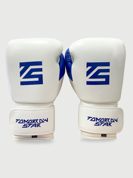 Перчатки боксерские  WHITE TS 10