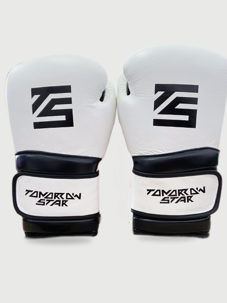 Перчатки боксерские WHITE- BLACK TS 18