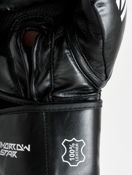Перчатки боксерские Pay Attention on Tomorrow Star  (натуральная кожа)