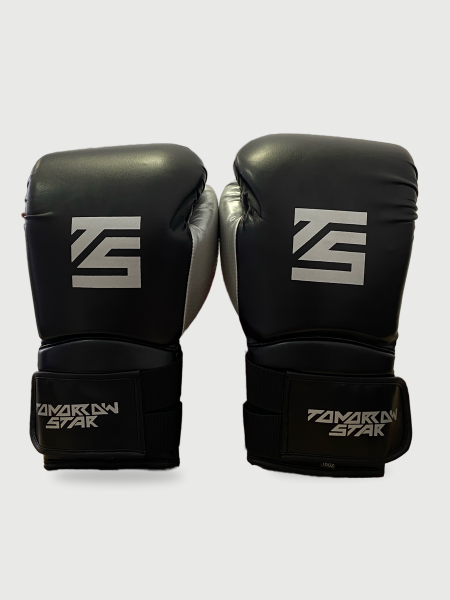 Перчатки боксерские  BLACK TS 13
