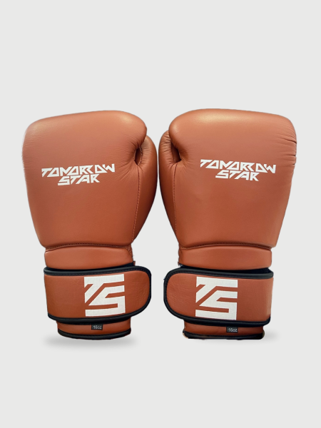 Перчатки боксерские BROWN TS 006